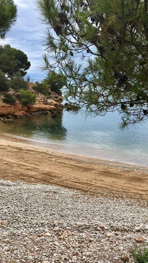 Apt Ideal Para Familias Cerca Del Mar 安波拉 外观 照片